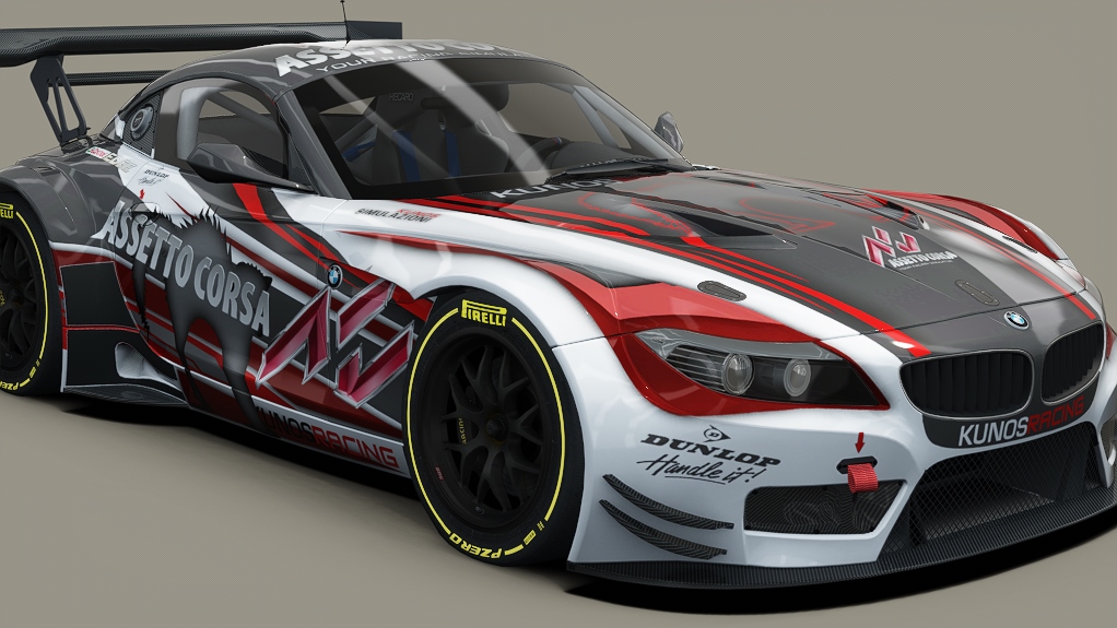 BMW Z4 GT3, skin assetto_z