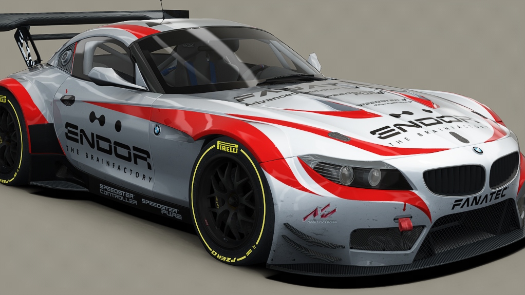 BMW Z4 GT3, skin fanatec