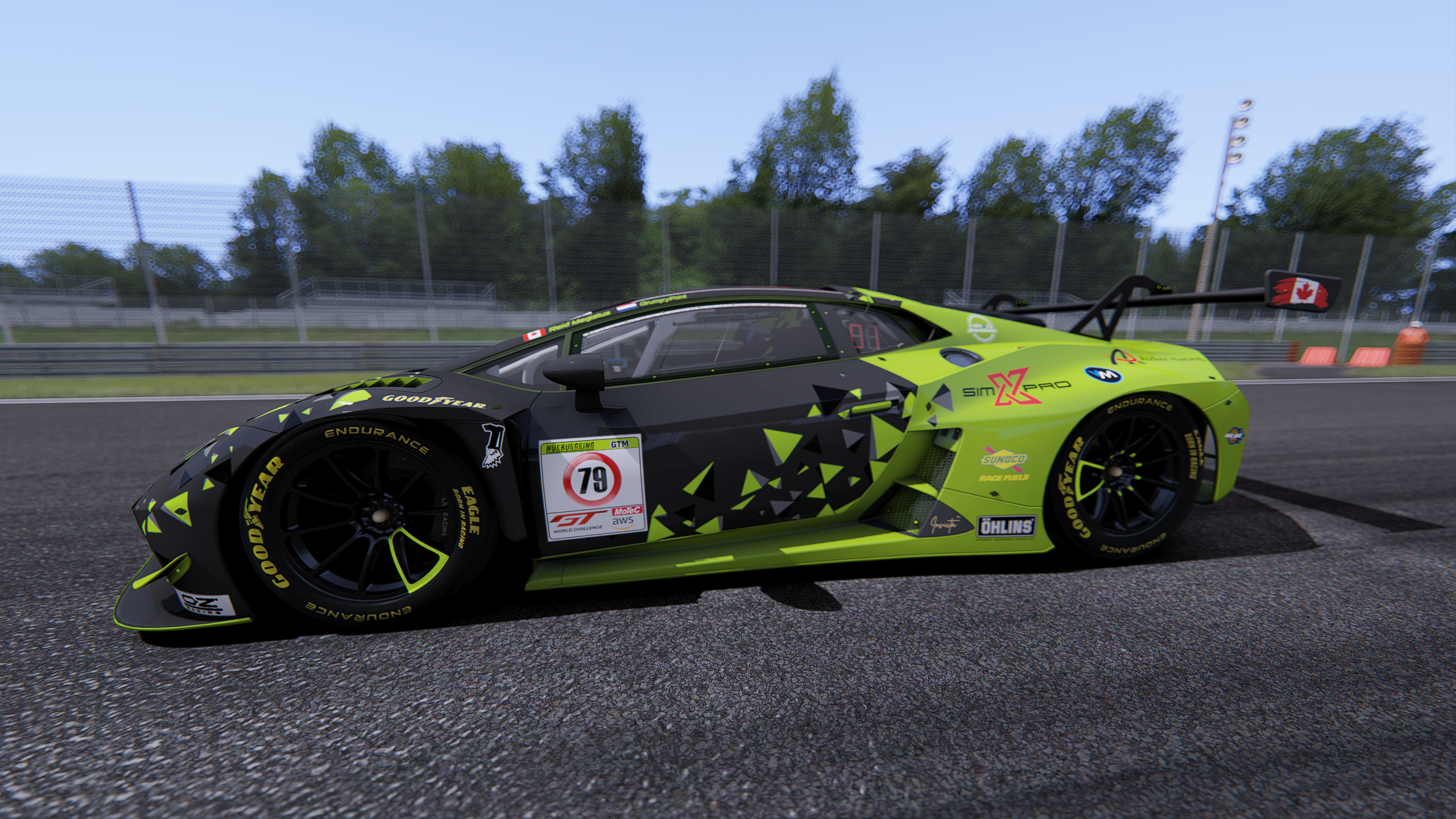 Car Skin